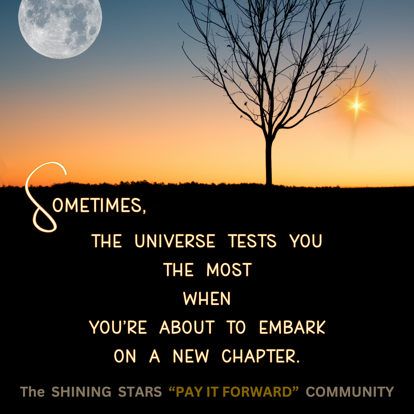 THE UNIVERSE TESTS YOU ...