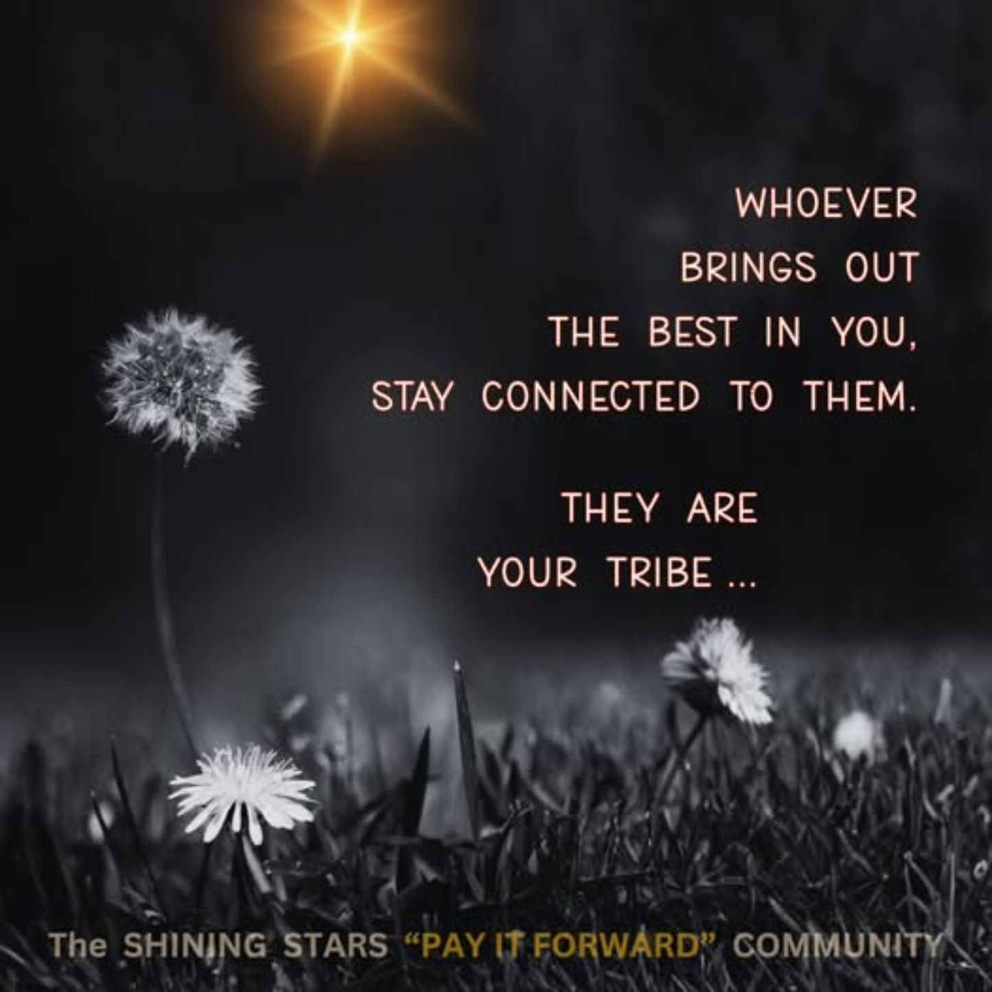 YOUR TRIBE
